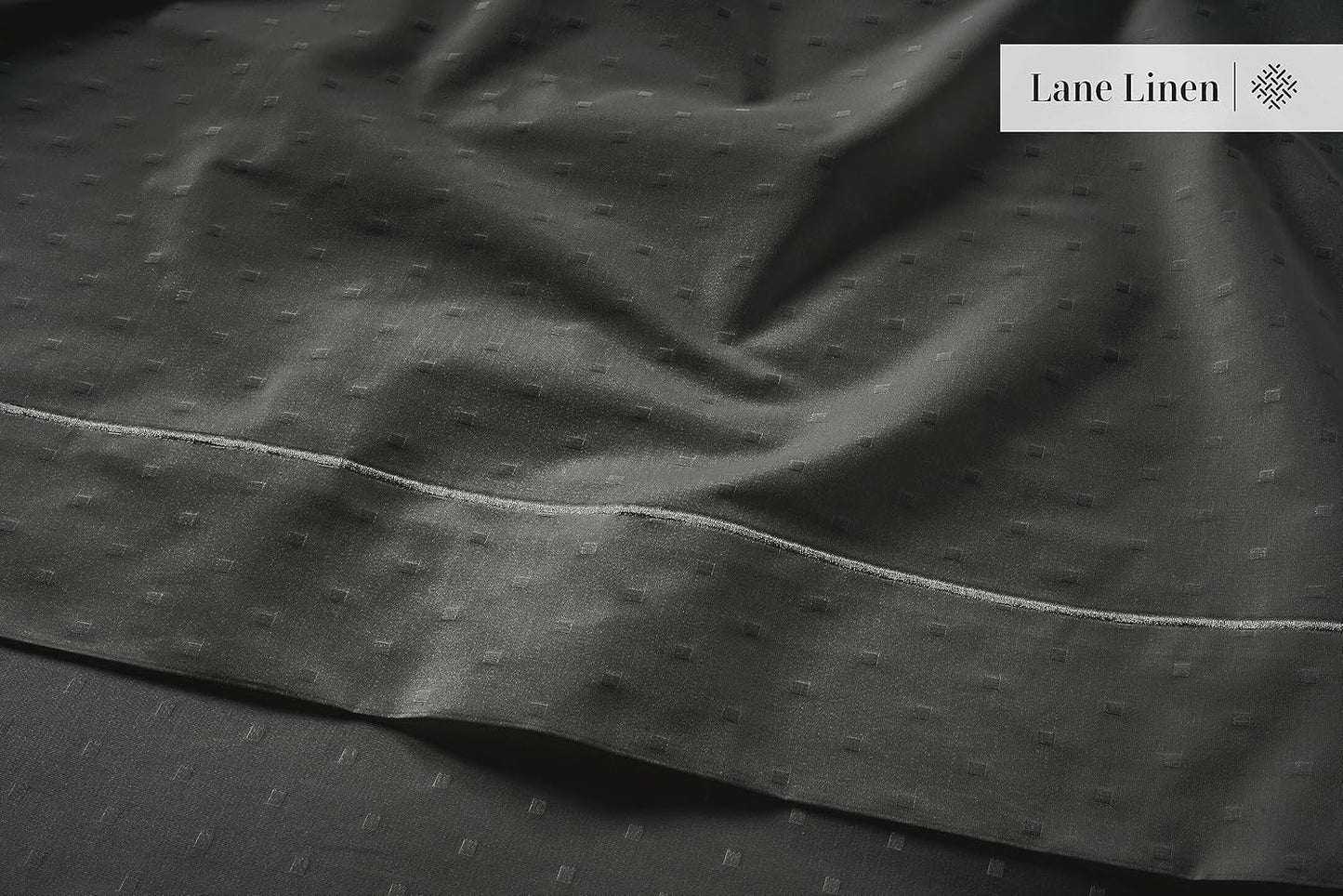 LANE LINEN Pillows Queen Size Set of 2, Soft 100% Egyptian Cotton, Cool & Smooth 1000 Thread Count Pillow Cases - Swiss Dot - Charcoal