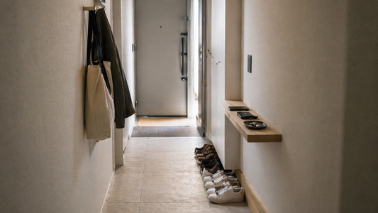 Narrow apartment entryway with wall hooks, shelf, and aligned shoes showing efficient organization through clear movement flow and structured placement