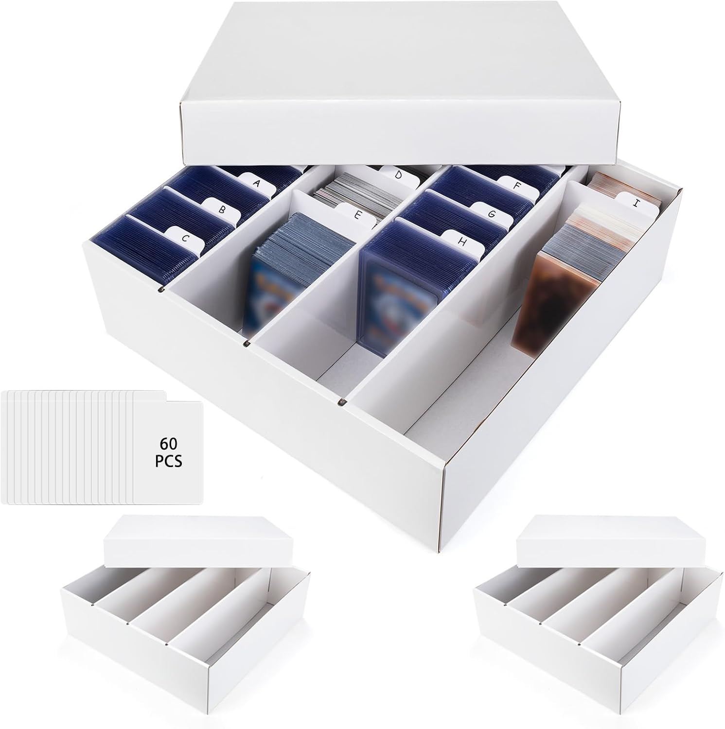Collectible Display & Storage