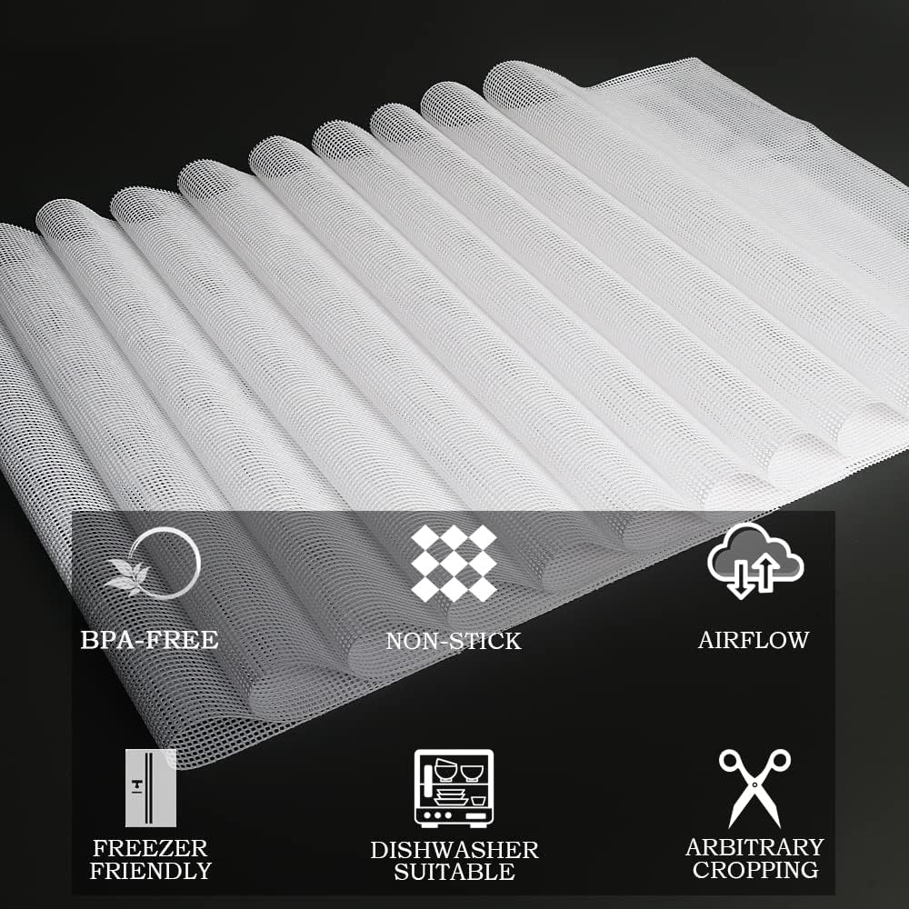 Mesh Silicone Dehydrator Sheets, 10x11 in 10 Pcs/Sets for Food Dehydrator & Freeze Dryer (10x11 INCH Mesh Silicone Dehtdrator Sheet)