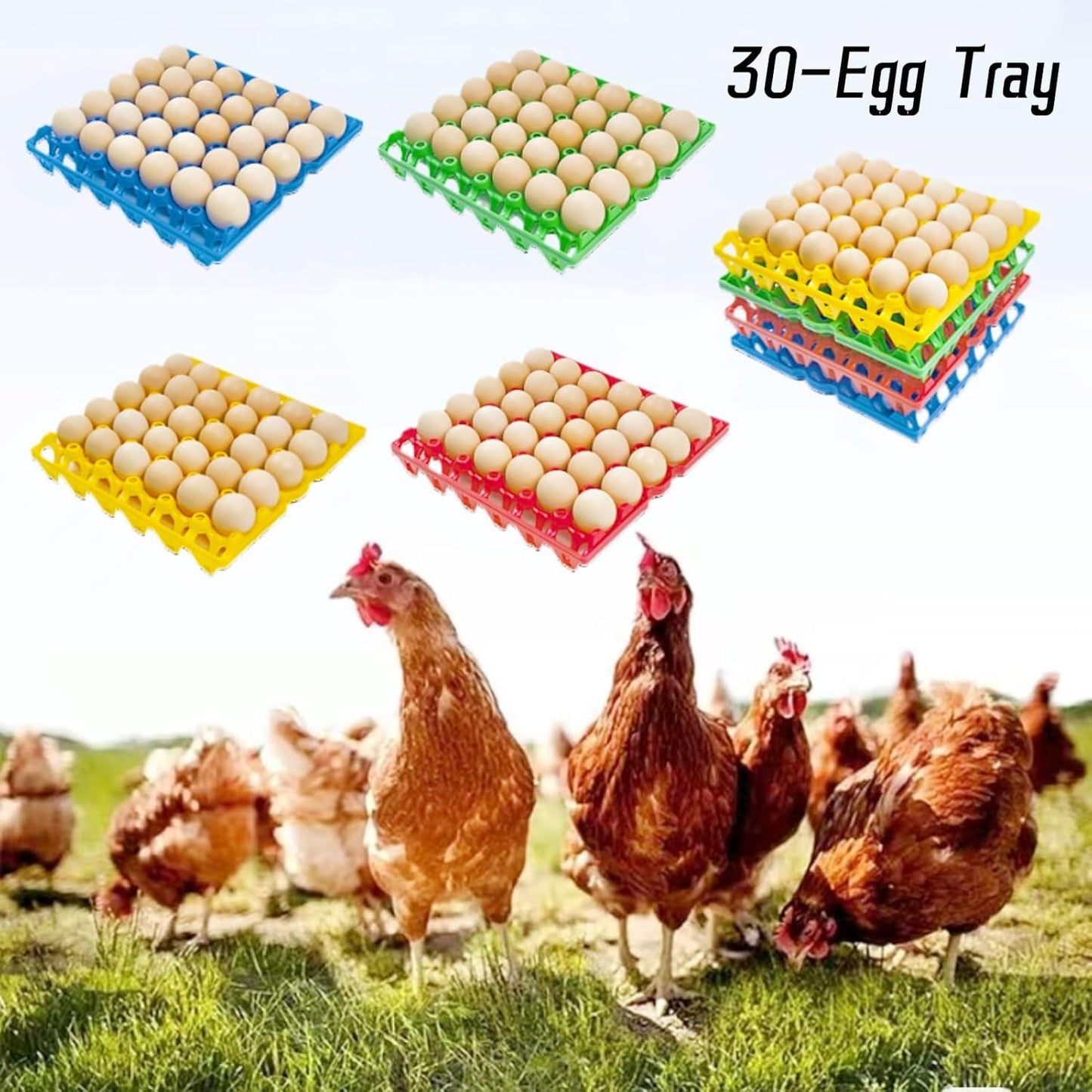 4-Pack Blue Rectangular Plastic Egg Tray, Stackable Egg Crates, 30-Egg Capacity, Modern Style, Reusable, Dishwasher Safe