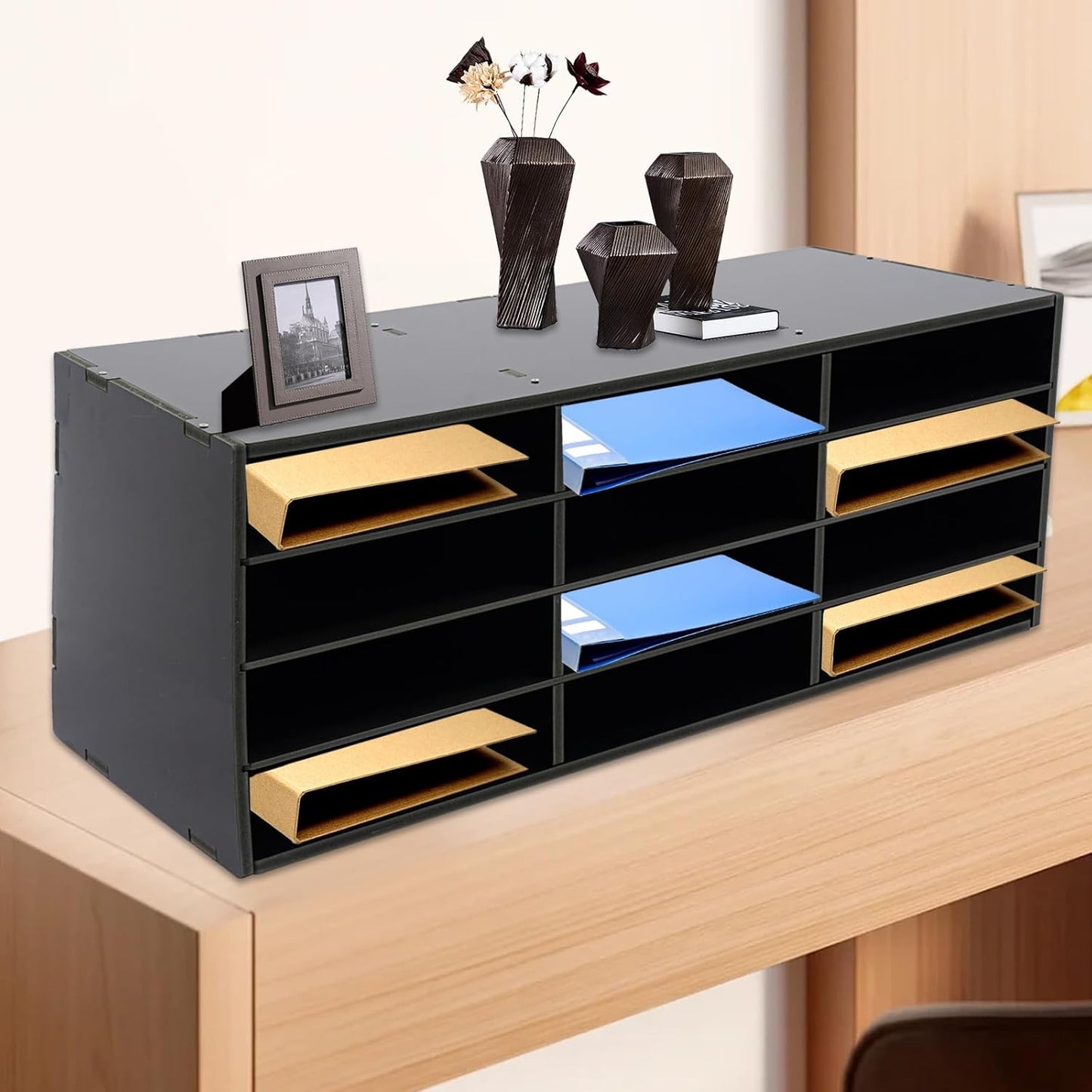 Mail Sorter Organizer, 12 Compartments Mailbox for Classroom, Desktop File Organizer with Adjustable Shelves, for Office Home Classroom, PVC, Black