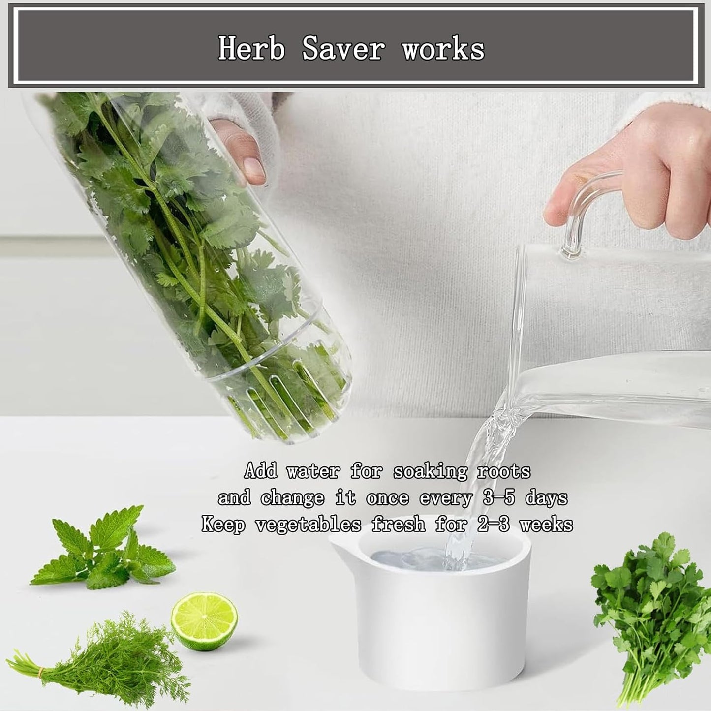 Herb Saver for Refrigerator, Cilantro Container for Fridge, Fresh Herbs Lettuce Keeper for Refrigerator Parsley Mint Leaves Fresh Herb Keeper, Refrigerato Storage for Fresh for 2-3 Weeks