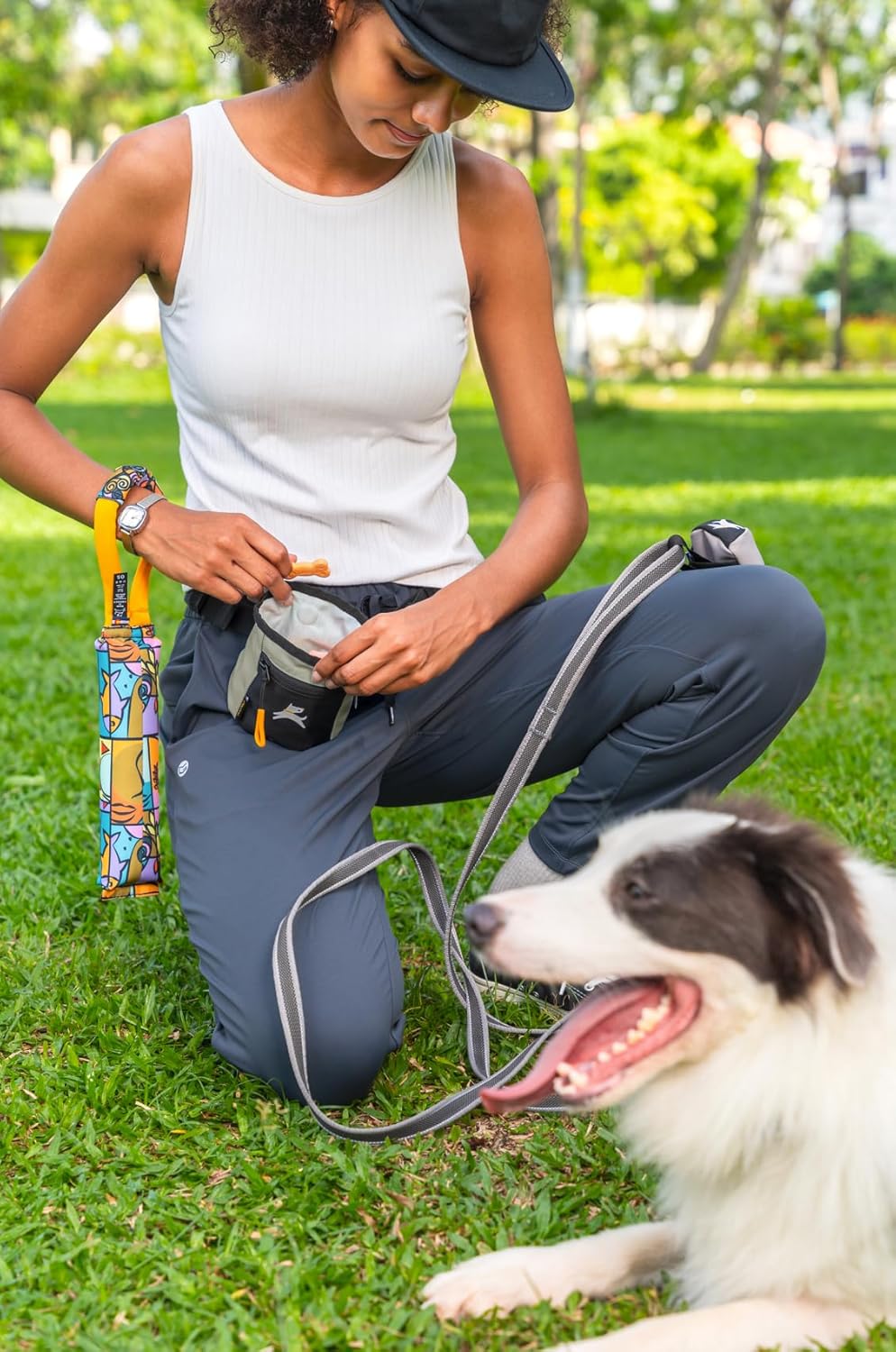 OllyDog Goodie Treat Bag, Dog Treat Pouch, Waist Belt Clip for Hands-Free Training, Magnetic Closure, Dog Training and Behavior Aids, Three Ways to Wear (Abbey Stone)