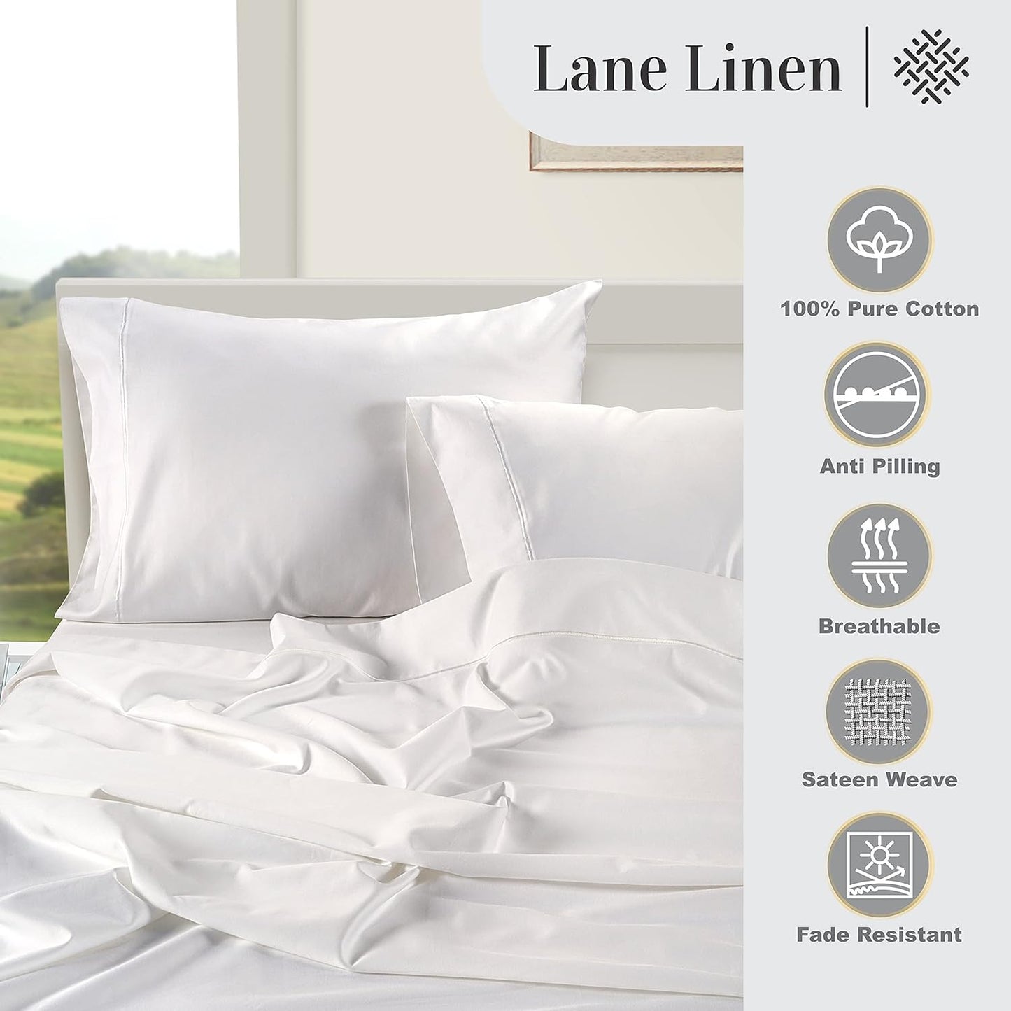 LANE LINEN Queen White Pillow Cases Set of 2 100% Egyptian Cotton 1000 Thread Count Sateen White- Perfect for Home Hotels & Hospital Use Standard Size