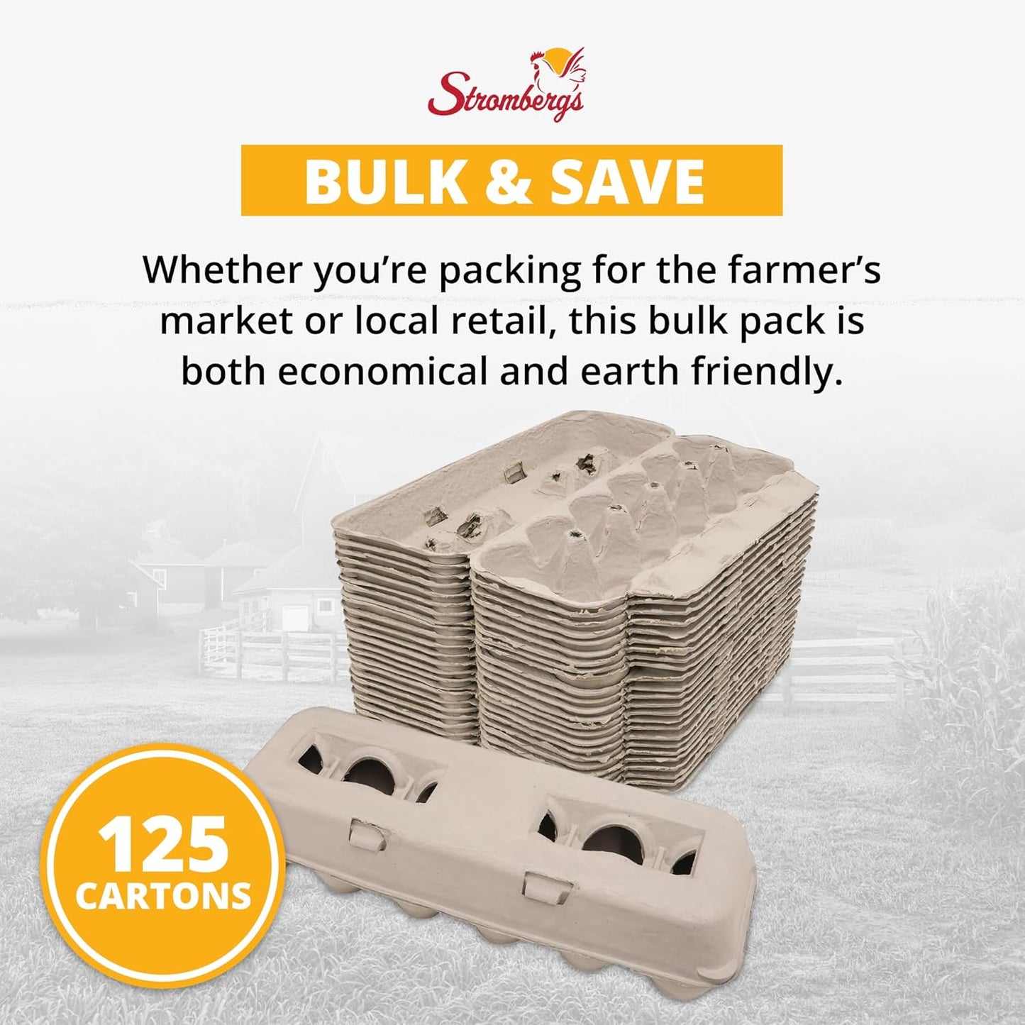 Stromberg's Large Blank Egg Cartons, Bulk Pack for Large Eggs, Perfect for Custom Branding, Safe & Secure Egg Storage, Convenient Stacking for Easy Transport and Storage, 250 Pack