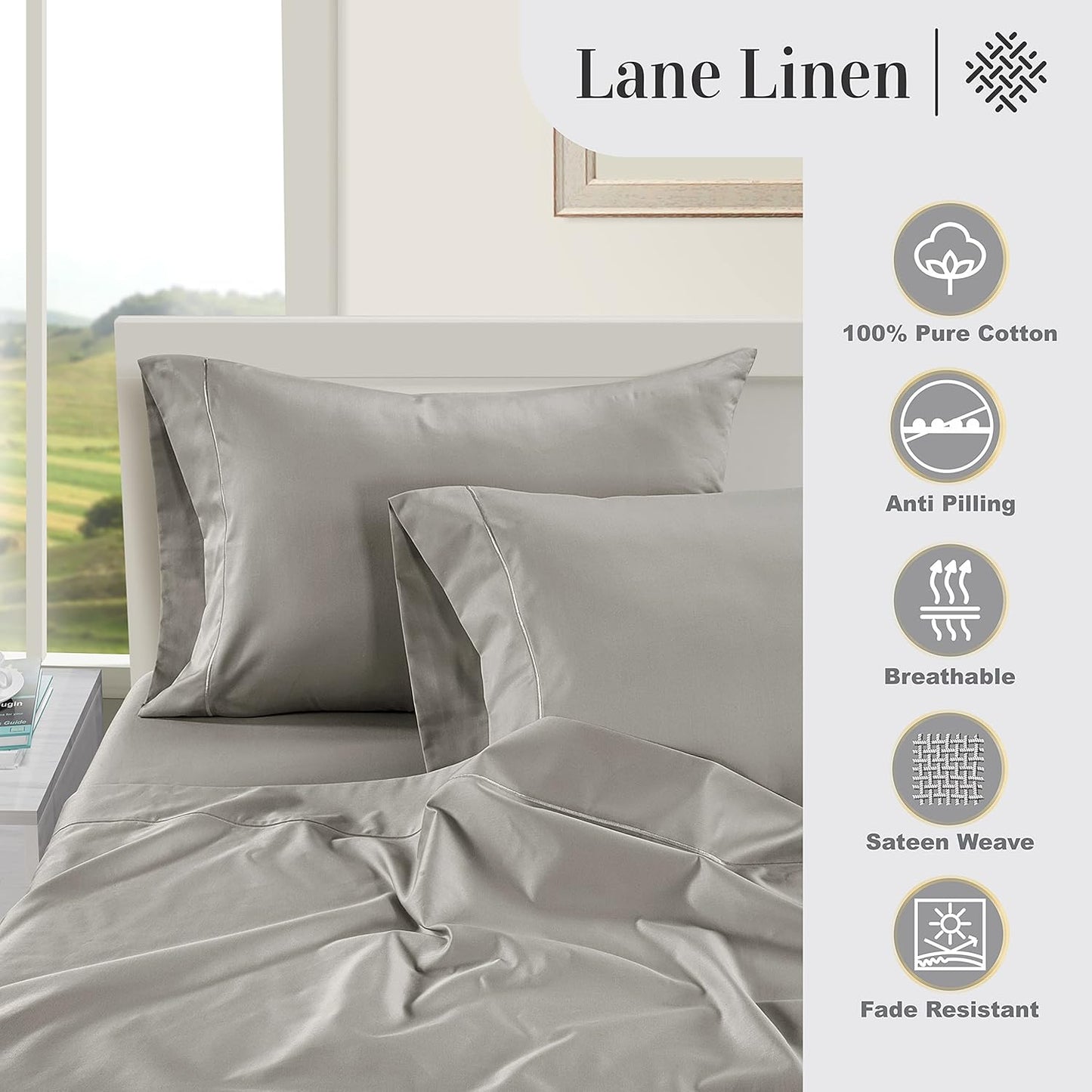 LANE LINEN Pillows Queen Size Set of 2 Soft 100% Egyptian Cotton Cool & Smooth 1000 Thread Count Pillow Cases - Silver