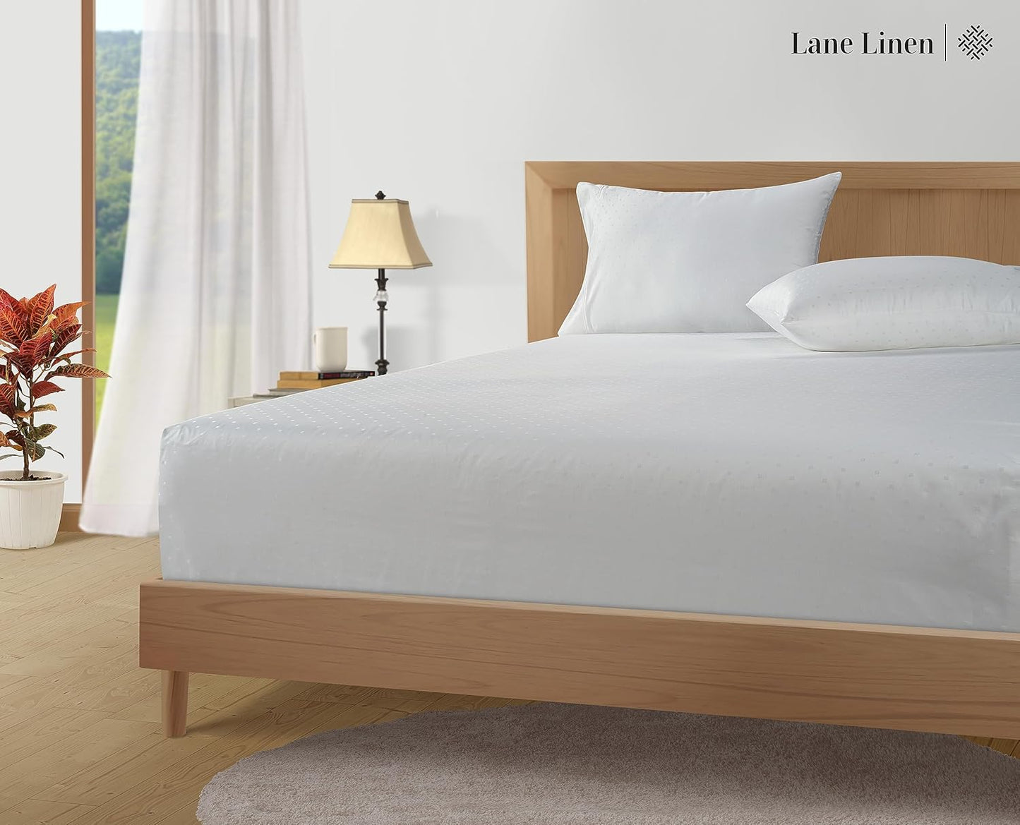 LANE LINEN Pillows Queen Size Set of 2, Soft 100% Egyptian Cotton, Cool & Smooth 1000 Thread Count Pillow Cases - Swiss Dot - White