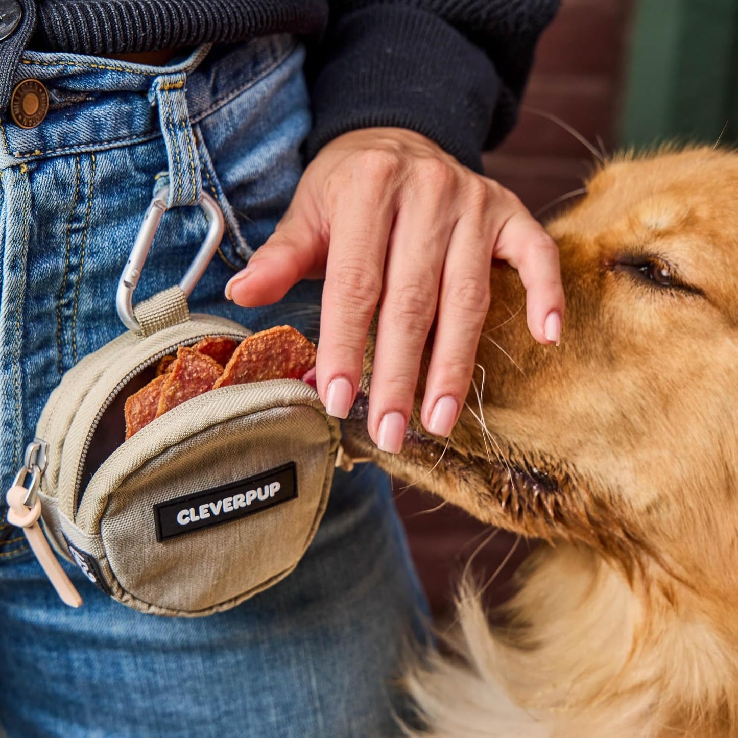 Snackpack Double Insulated Dog Treat Pouch - Holds 1.5 Cups - Dog Training and Walks Snack Bag, Two Pockets for Dry or Wet Treats, Attaches to Leash, Belt, or Bag - Sand