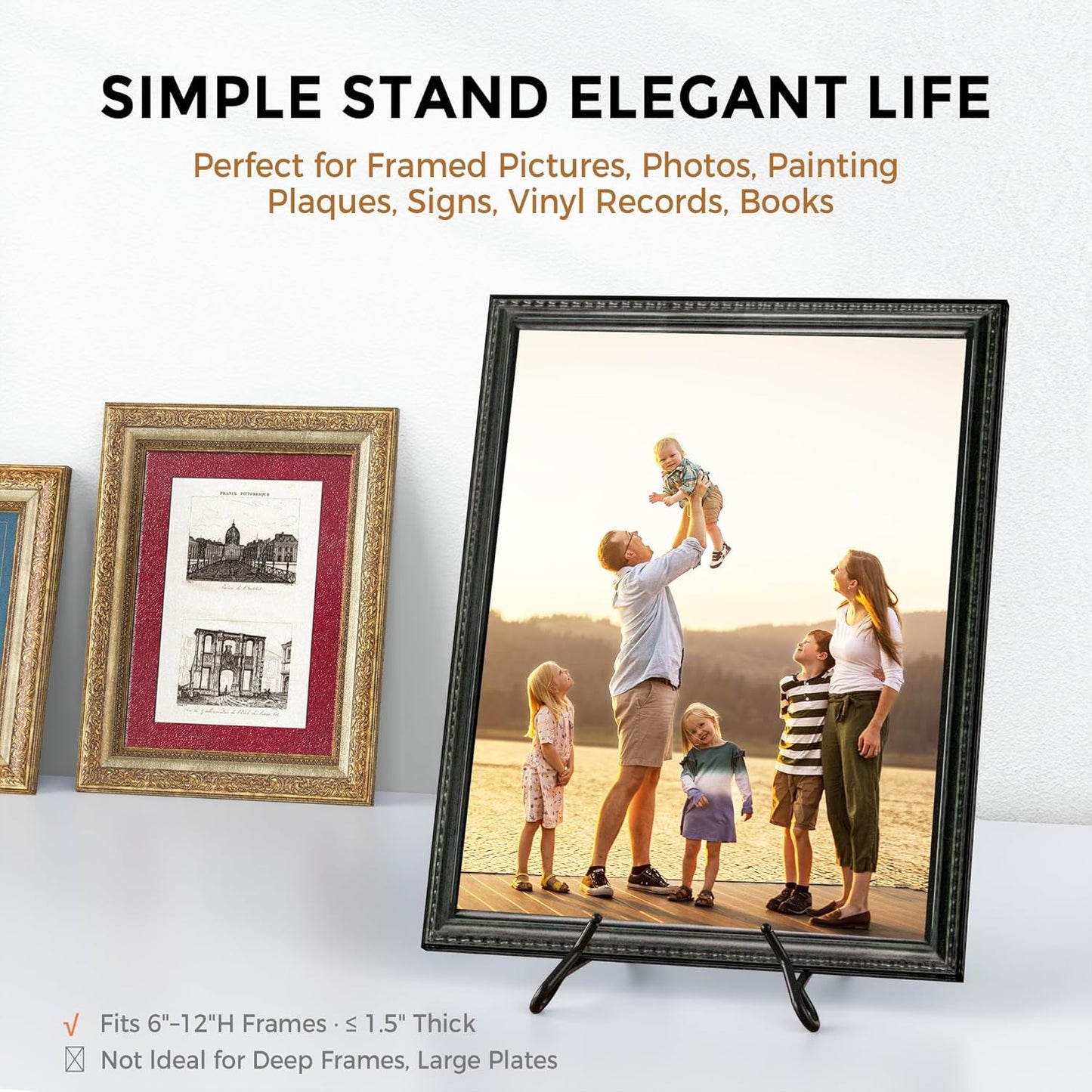 TR-LIFE Plate Stands for Display, 6.5 inch, 2 Pack, Metal Picture Holder Easel Stand for 6–12 in Plates, Frames and Books, up to 1.5 in Thick