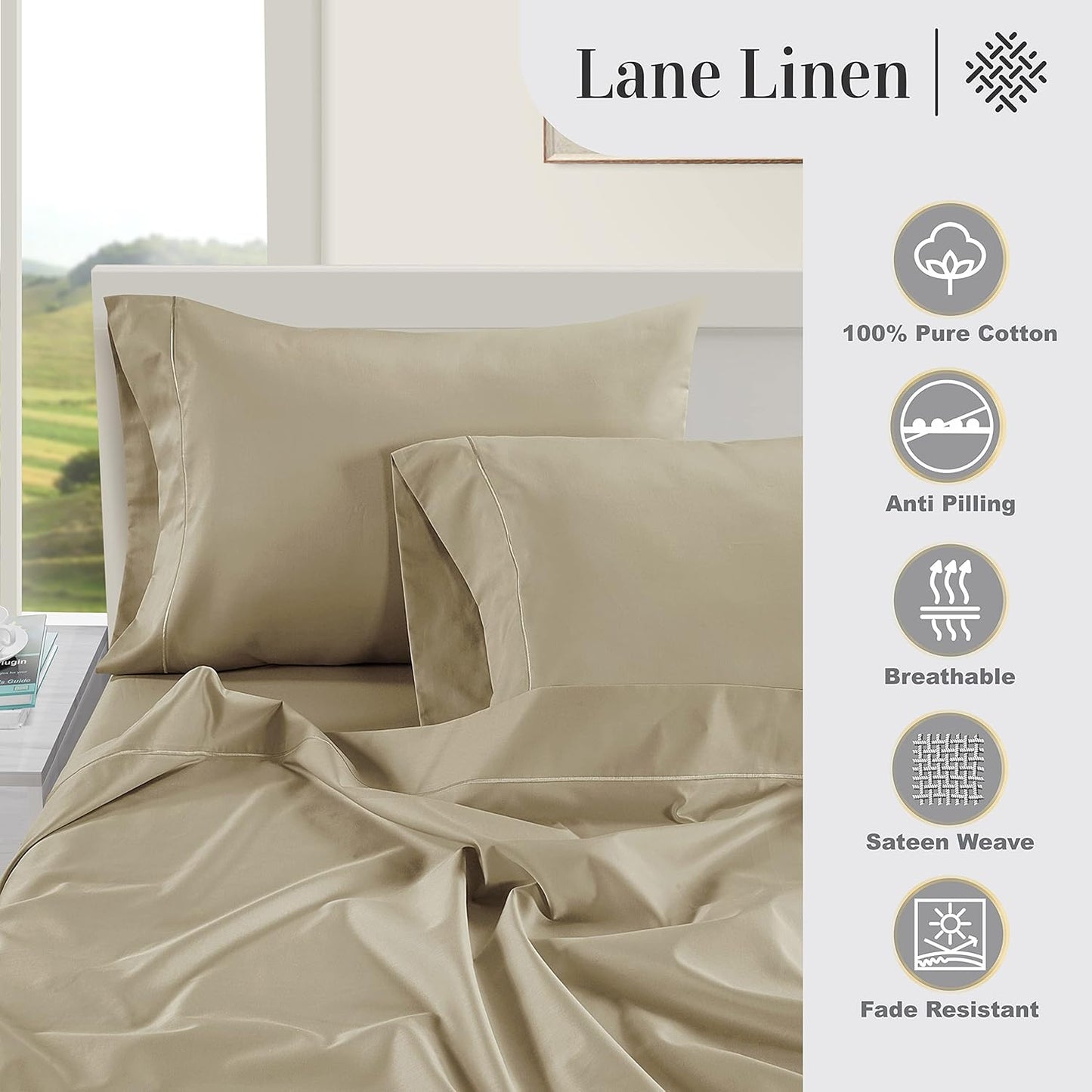 LANE LINEN Pillows Queen Size Set of 2 Soft 100% Egyptian Cotton Cool & Smooth 1000 Thread Count Pillow Cases - Linen