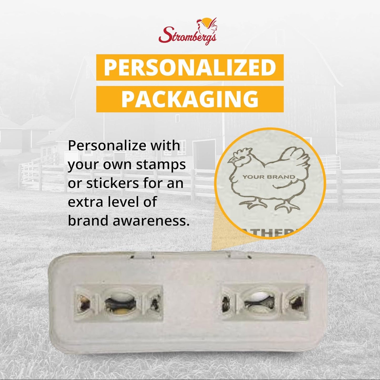 Stromberg's Large Blank Egg Cartons, Bulk Pack for Large Eggs, Perfect for Custom Branding, Safe & Secure Egg Storage, Convenient Stacking for Easy Transport and Storage, 250 Pack