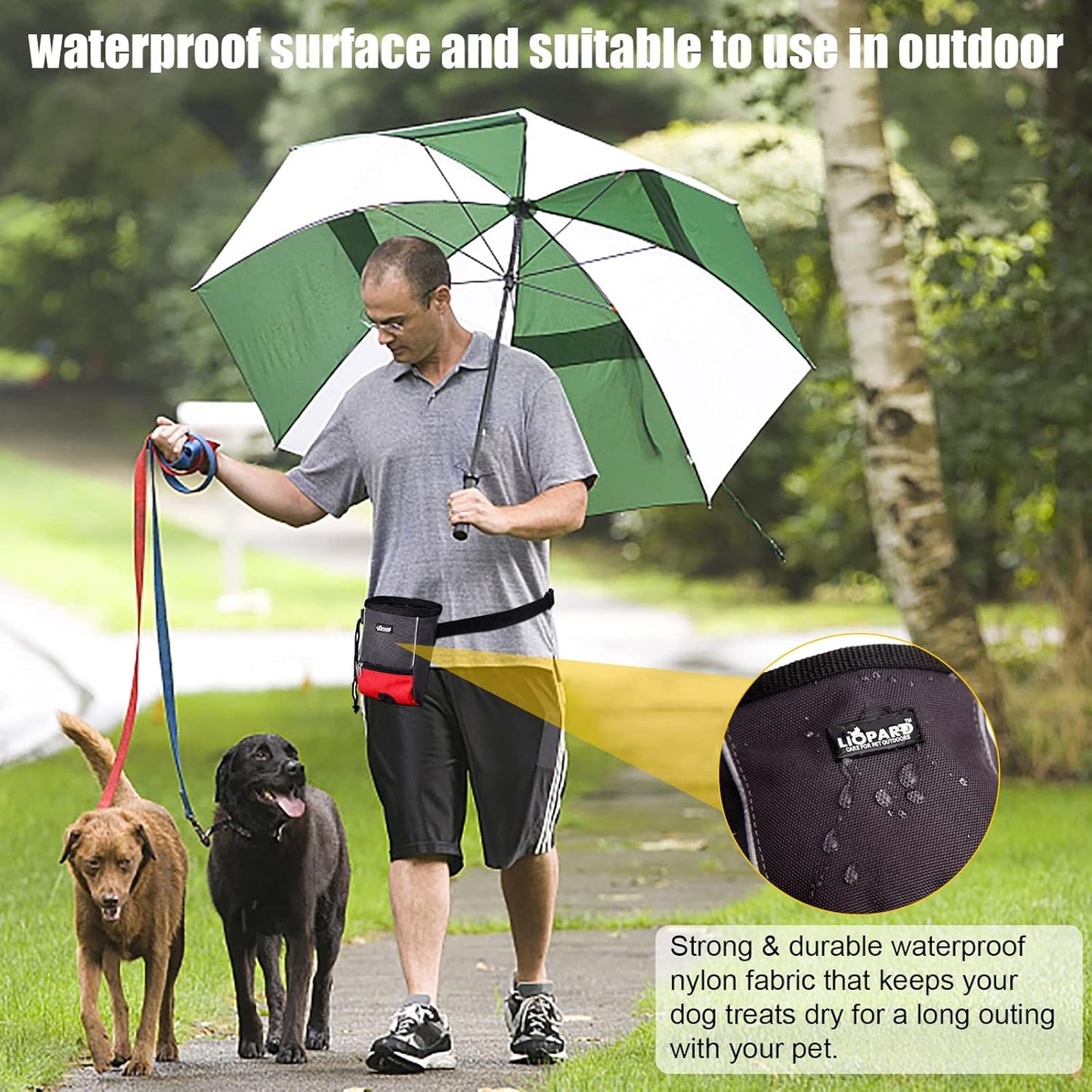 LIOPARD Dog Treat Pouch, Slanted Opening, Ideal for Dog Walking & Training (Red)