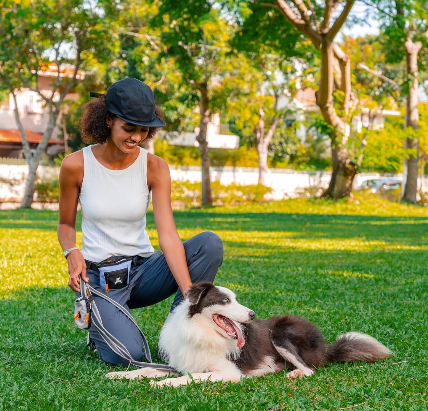 OllyDog Goodie Treat Bag, Dog Treat Pouch, Waist Belt Clip for Hands-Free Training, Magnetic Closure, Dog Training and Behavior Aids, Three Ways to Wear (Blue Heron)